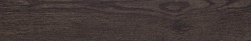 BW16C19